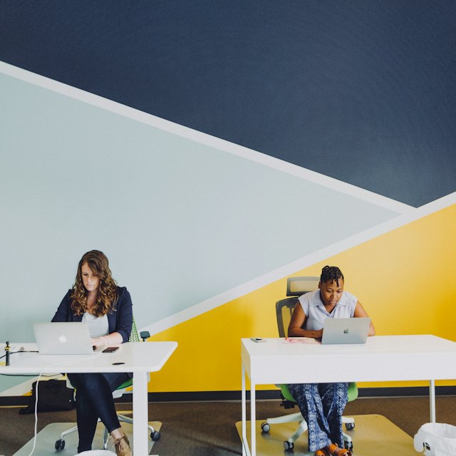 Two colleagues working at their desks